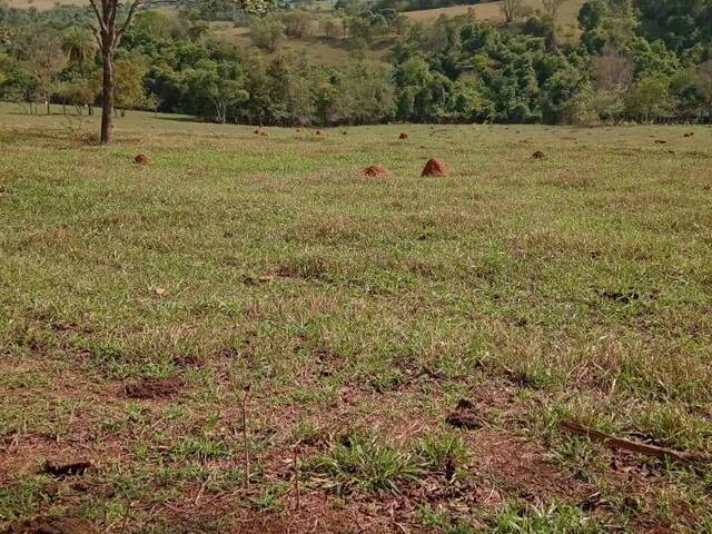 Venda em zona rural - Itauçu