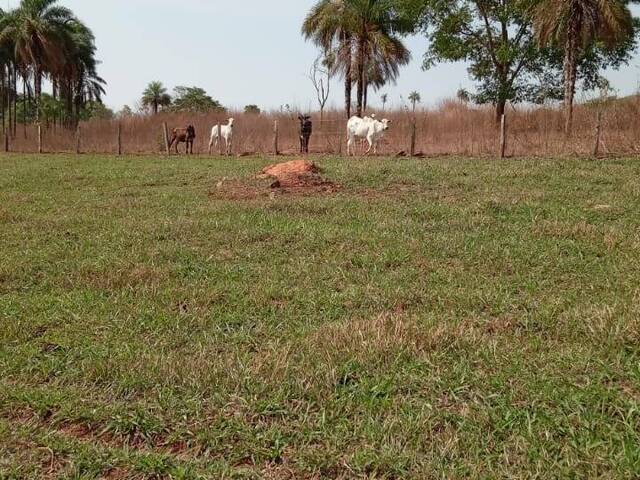 Venda em zona rural - Itauçu