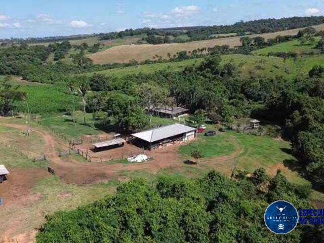 #3365 - Chácara para Venda em Goianápolis - GO