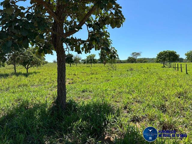Chácara para Venda em Goianápolis - 4