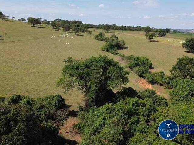 Chácara para Venda em Goianápolis - 5