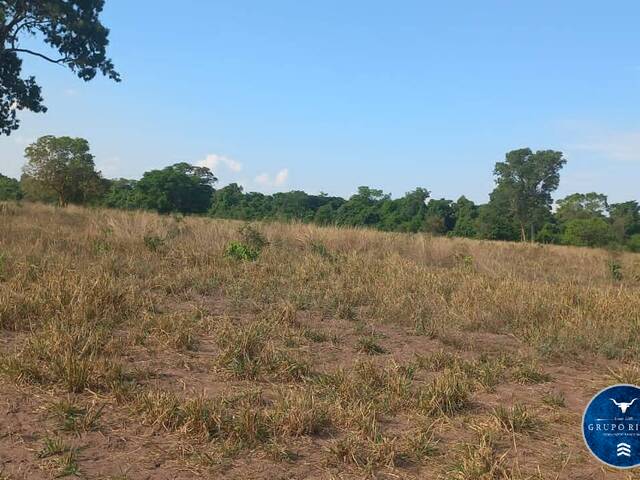 #3366 - Fazenda para Venda em Barra do Garças - MT