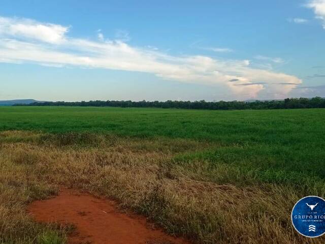 Venda em zona rural - Montes Claros de Goiás
