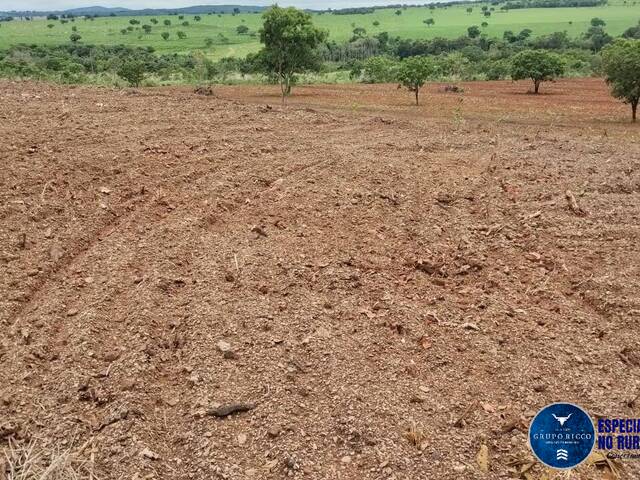 Venda em zona rural - Bom Jardim de Goiás