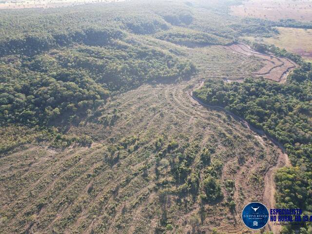 #3370 - Fazenda para Venda em Bom Jardim de Goiás - GO