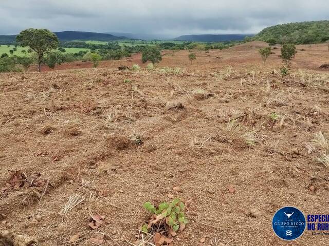 #3370 - Fazenda para Venda em Bom Jardim de Goiás - GO