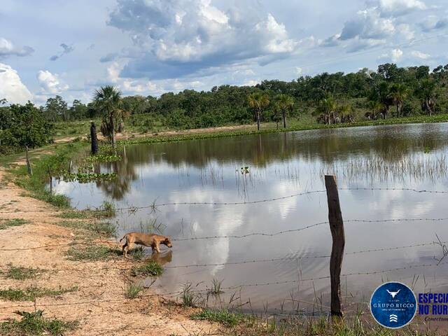 Venda em zona rural - Pontal do Araguaia