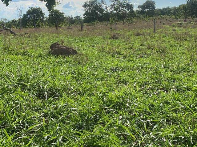 #3371 - Sítio para Venda em Pontal do Araguaia - MT