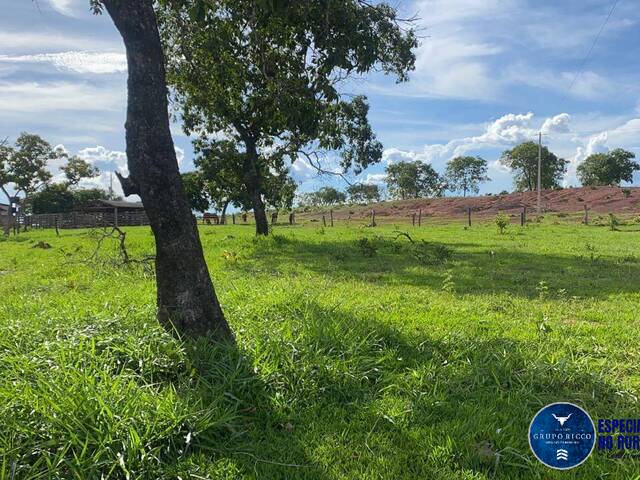 #3371 - Sítio para Venda em Pontal do Araguaia - MT
