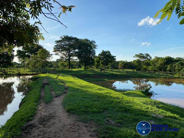 Venda em zona rural - Israelândia