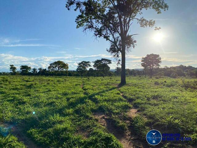 #3380 - Fazenda para Venda em Israelândia - GO