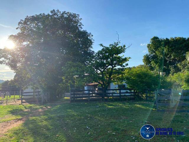 Fazenda para Venda em Israelândia - 4