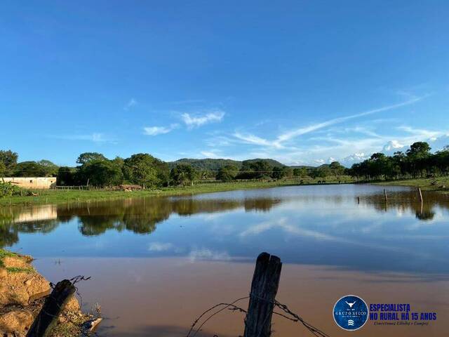 Fazenda para Venda em Israelândia - 5