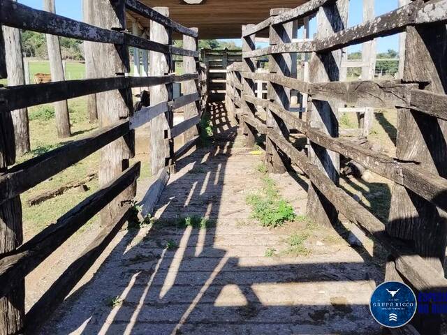 #3386 - Fazenda para Venda em Jaupaci - GO