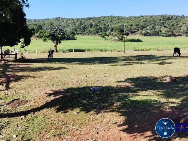 #3386 - Fazenda para Venda em Jaupaci - GO