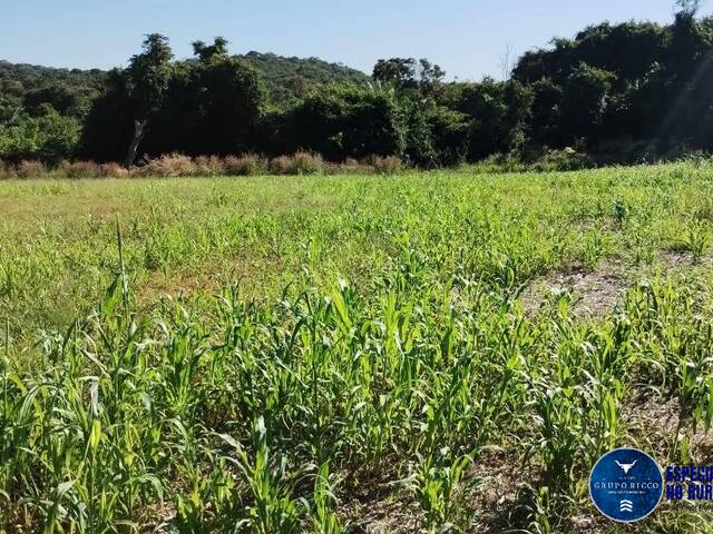#3386 - Fazenda para Venda em Jaupaci - GO