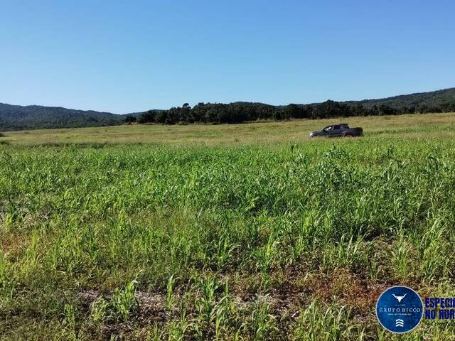 Venda em zona rural - Jaupaci