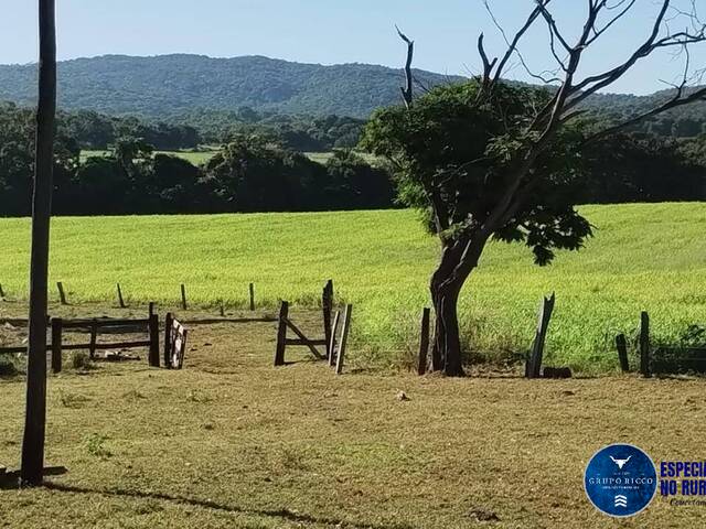 #3386 - Fazenda para Venda em Jaupaci - GO