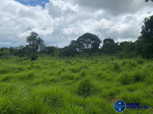 Venda em zona rural - Jussara