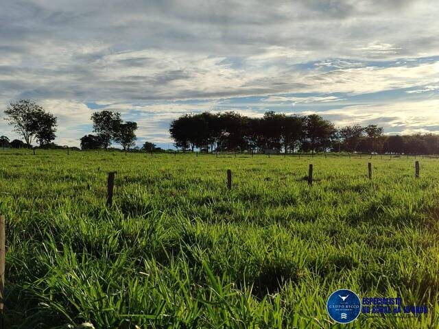 Venda em zona rural - Taquaral de Goiás