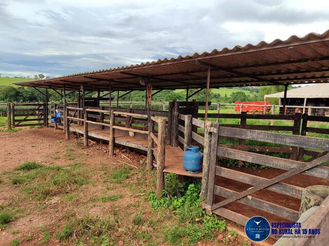 Chácara para Venda em Taquaral de Goiás - 4