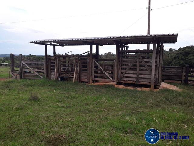 #3404 - Chácara para Venda em Jaraguá - GO