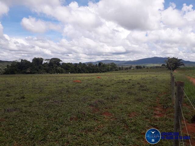 #3404 - Chácara para Venda em Jaraguá - GO