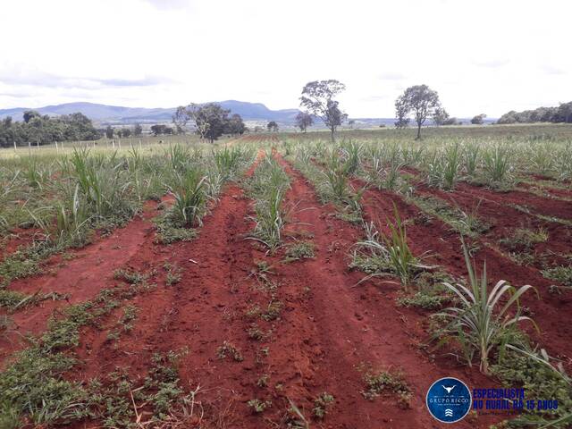 Venda em zona rural - Jaraguá