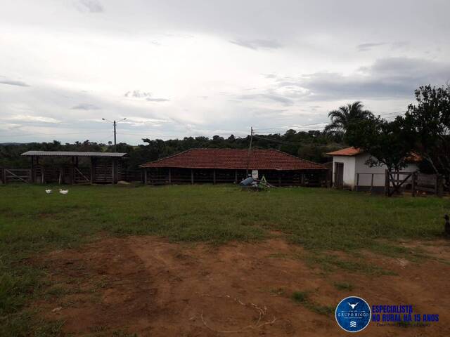 Chácara para Venda em Jaraguá - 5
