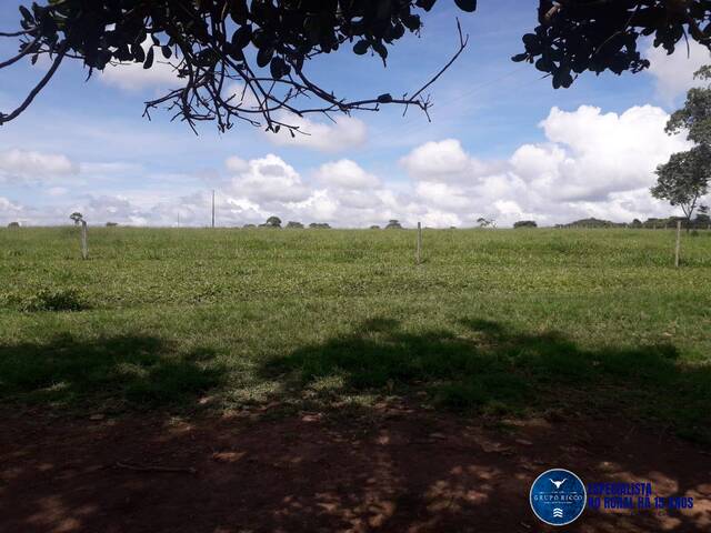 Chácara para Venda em Jaraguá - 4