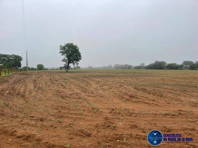 Venda em zona rural - Matrinchã