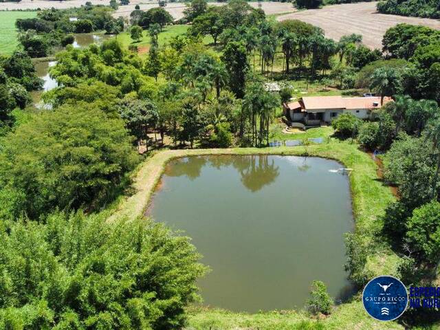 Venda em zona rural - Palmeiras de Goiás