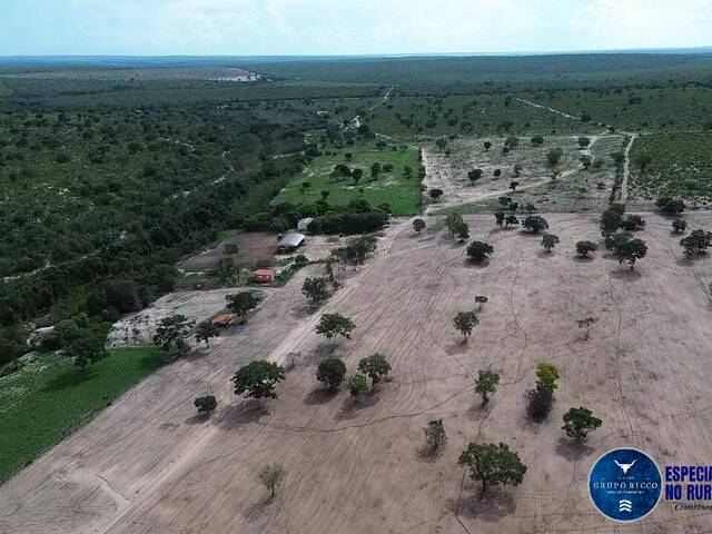 #3410 - Fazenda para Venda em Novo São Joaquim - MT