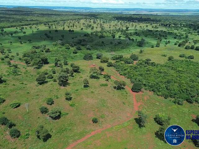 #3411 - Fazenda para Venda em Britânia - GO