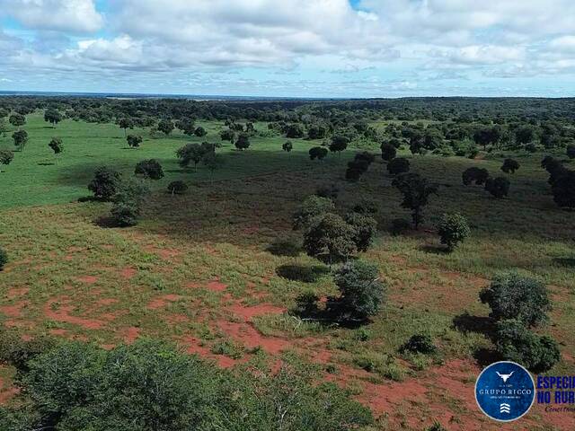 Fazenda para Venda em Britânia - 4