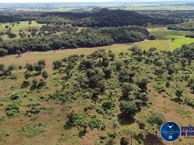 Fazenda para Venda em Britânia - 5