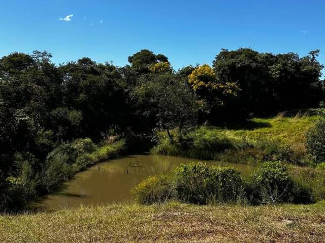 #3420 - Chácara para Venda em Bela Vista de Goiás - GO