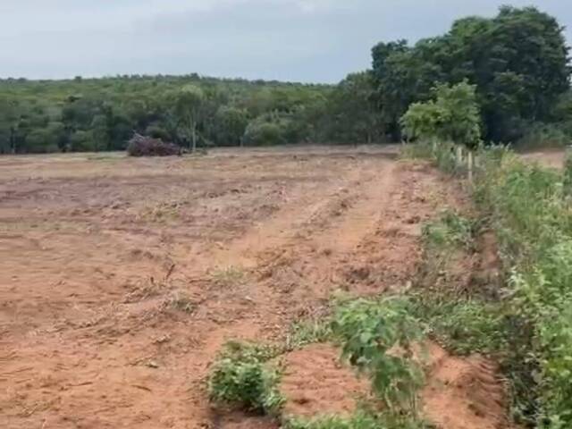 #3423 - Fazenda para Venda em Bom Jardim de Goiás - GO
