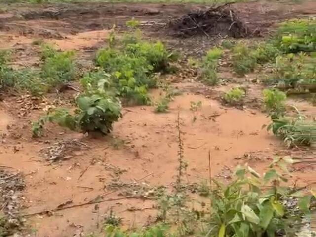 #3423 - Fazenda para Venda em Bom Jardim de Goiás - GO