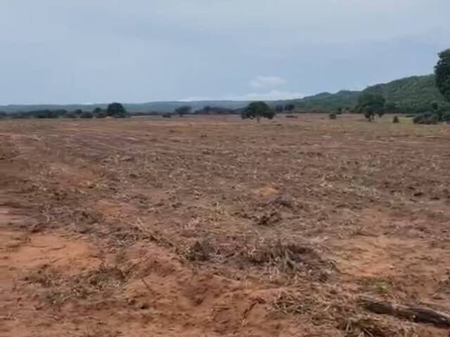 Venda em zona rural - Bom Jardim de Goiás
