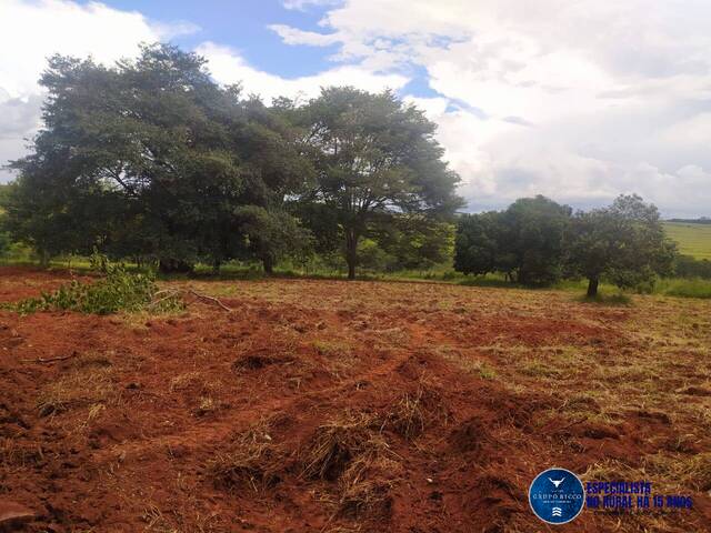 #3426 - Área para Venda em Nerópolis - GO