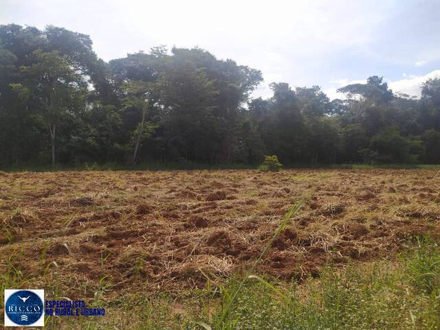 Área para Venda em Nerópolis - 4