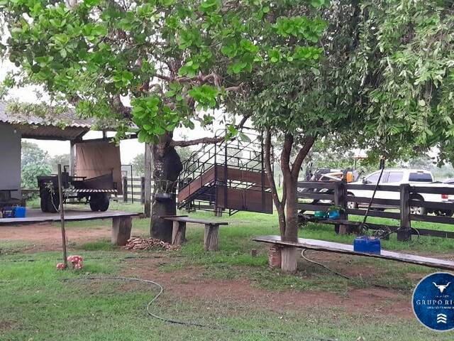 #3429 - Fazenda para Venda em Araguaiana - MT