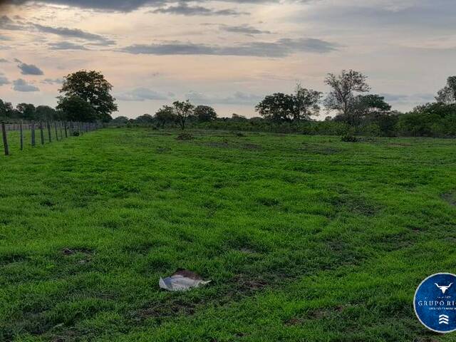Venda em zona rural - Araguaiana