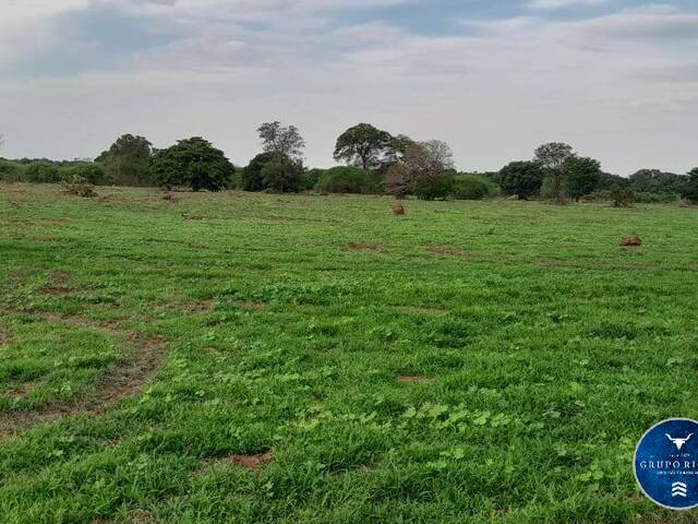 #3429 - Fazenda para Venda em Araguaiana - MT