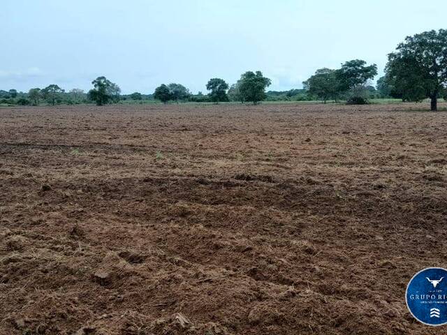 Venda em zona rural - Araguaiana