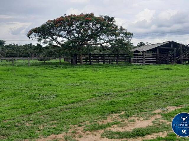 #3429 - Fazenda para Venda em Araguaiana - MT