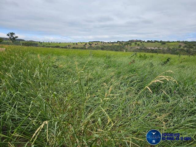 Venda em zona rural - Bom Jardim de Goiás