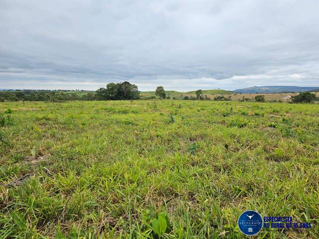 #3430 - Fazenda para Venda em Bom Jardim de Goiás - GO