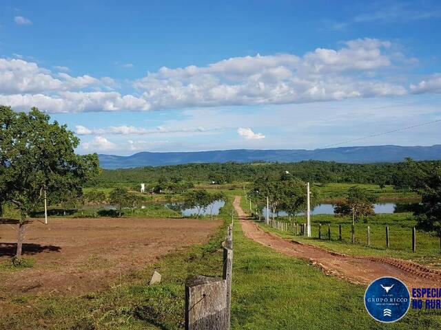#3435 - Fazenda para Venda em Poconé - MT